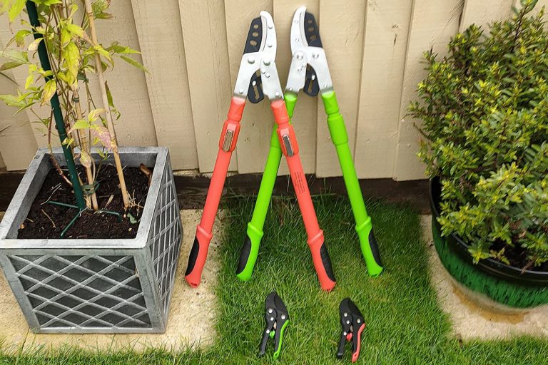 Benefits Of Telescoping And Handheld Pruners Set By Grouchy Gardener