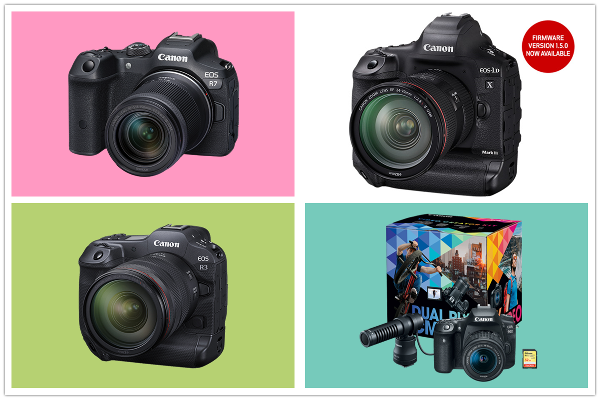 9 Amazing DSLR and Mirrorless Cameras for Your Upcoming Shoots